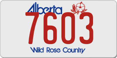 AB license plate 7603