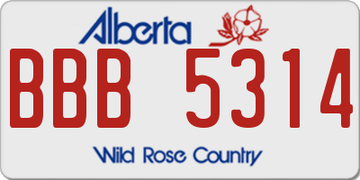AB license plate BBB5314