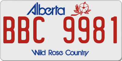 AB license plate BBC9981