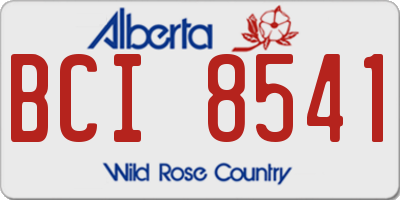 AB license plate BCI8541