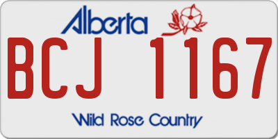 AB license plate BCJ1167