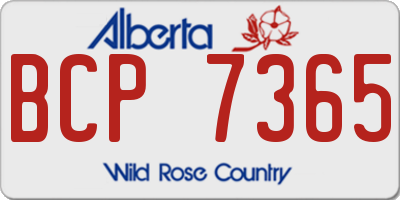 AB license plate BCP7365