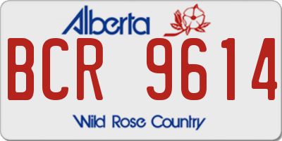 AB license plate BCR9614
