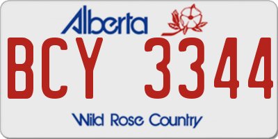 AB license plate BCY3344