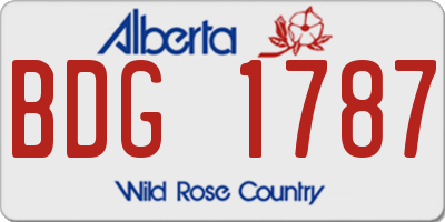AB license plate BDG1787