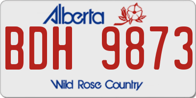 AB license plate BDH9873