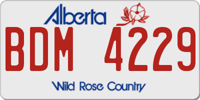 AB license plate BDM4229