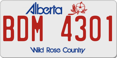 AB license plate BDM4301