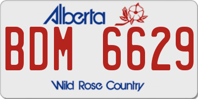 AB license plate BDM6629