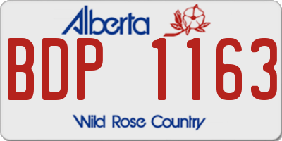 AB license plate BDP1163