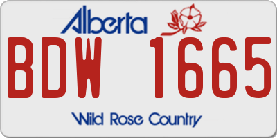 AB license plate BDW1665