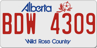 AB license plate BDW4309