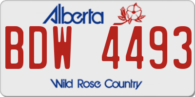 AB license plate BDW4493