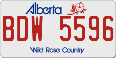 AB license plate BDW5596