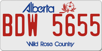 AB license plate BDW5655