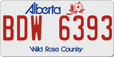 AB license plate BDW6393