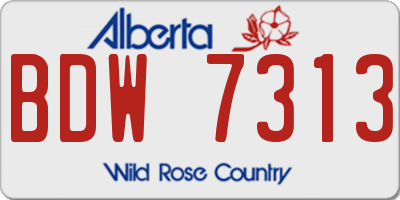AB license plate BDW7313