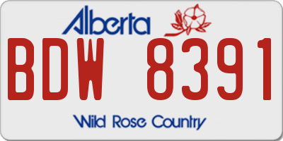 AB license plate BDW8391