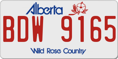 AB license plate BDW9165