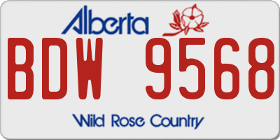 AB license plate BDW9568