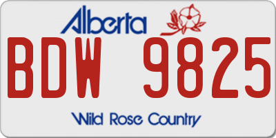 AB license plate BDW9825