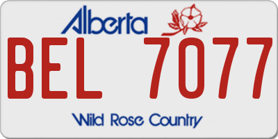 AB license plate BEL7077