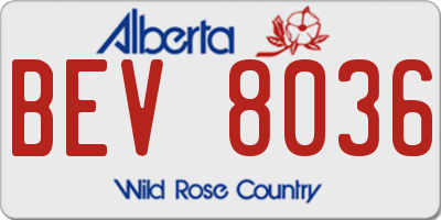 AB license plate BEV8036