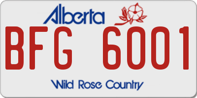 AB license plate BFG6001