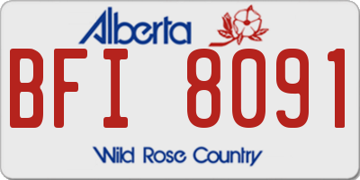 AB license plate BFI8091