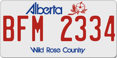 AB license plate BFM2334