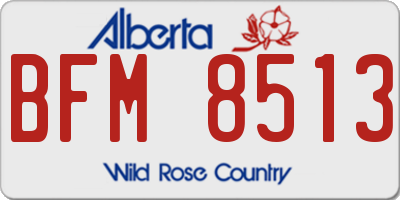 AB license plate BFM8513