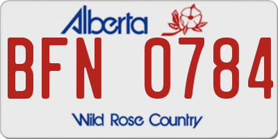 AB license plate BFN0784