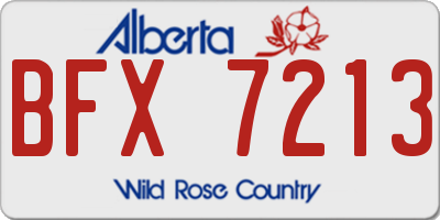 AB license plate BFX7213