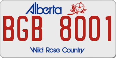 AB license plate BGB8001