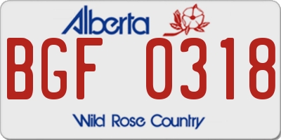 AB license plate BGF0318
