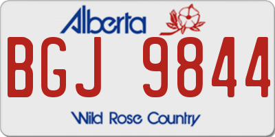 AB license plate BGJ9844