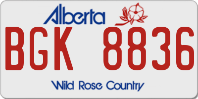 AB license plate BGK8836
