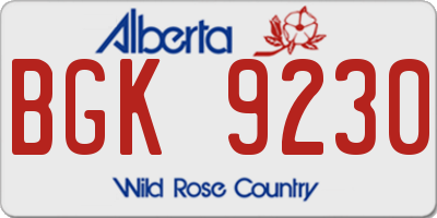 AB license plate BGK9230