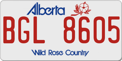 AB license plate BGL8605