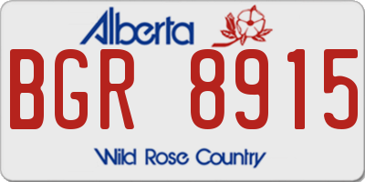AB license plate BGR8915