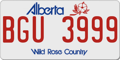 AB license plate BGU3999