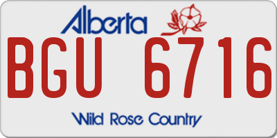 AB license plate BGU6716