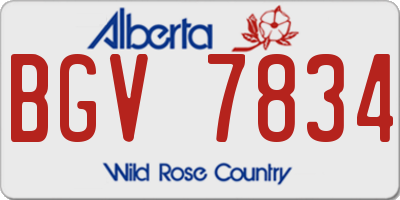 AB license plate BGV7834