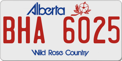 AB license plate BHA6025