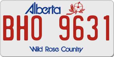 AB license plate BHO9631