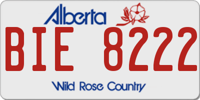 AB license plate BIE8222