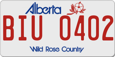 AB license plate BIU0402