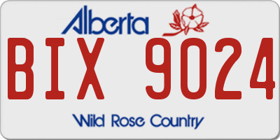 AB license plate BIX9024