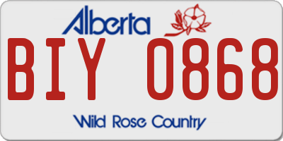 AB license plate BIY0868