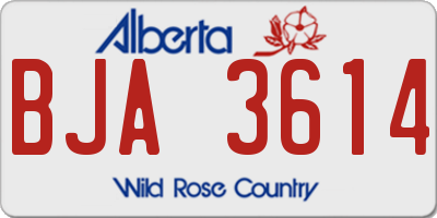 AB license plate BJA3614